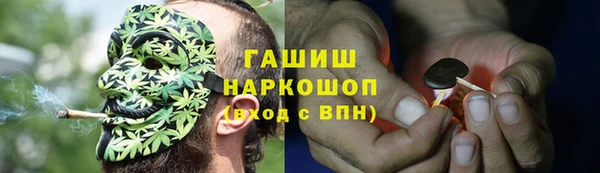 ECSTASY Богородицк