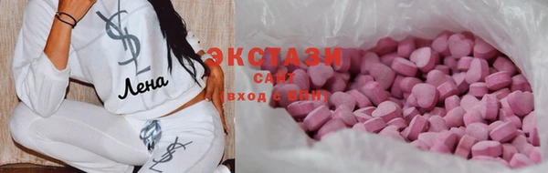 ECSTASY Богородицк