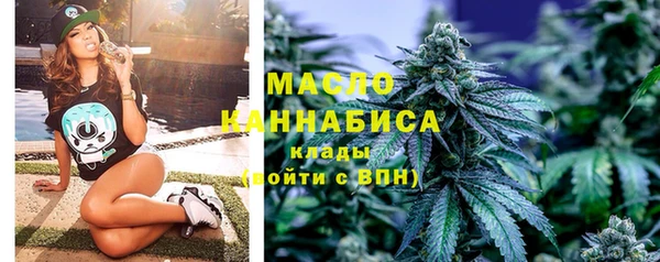 ECSTASY Богородицк