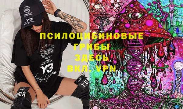 ECSTASY Богородицк