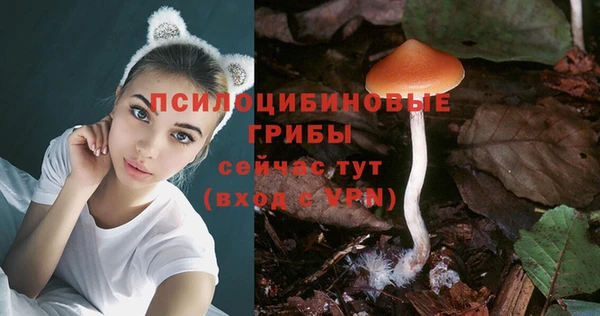 spice Богданович