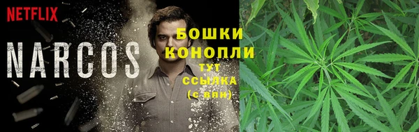 ECSTASY Богородицк
